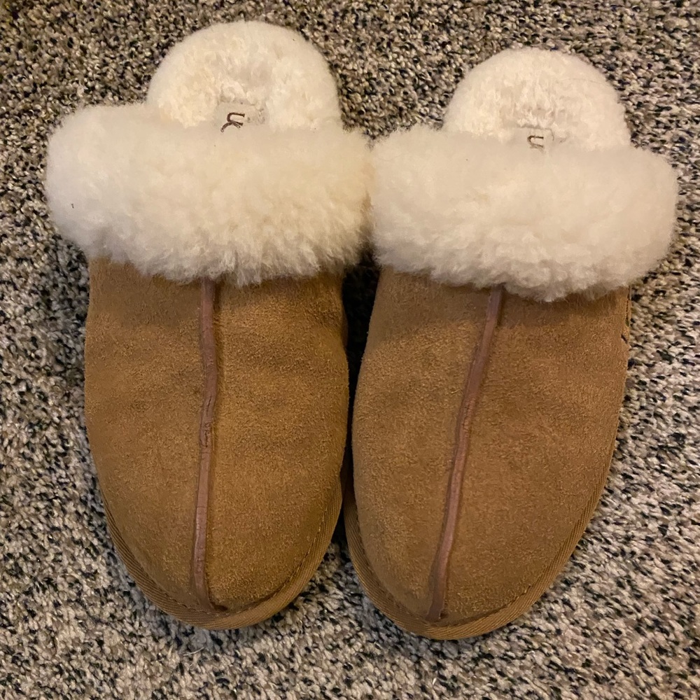 Ugg Scuffette ll Slipper Chestnut